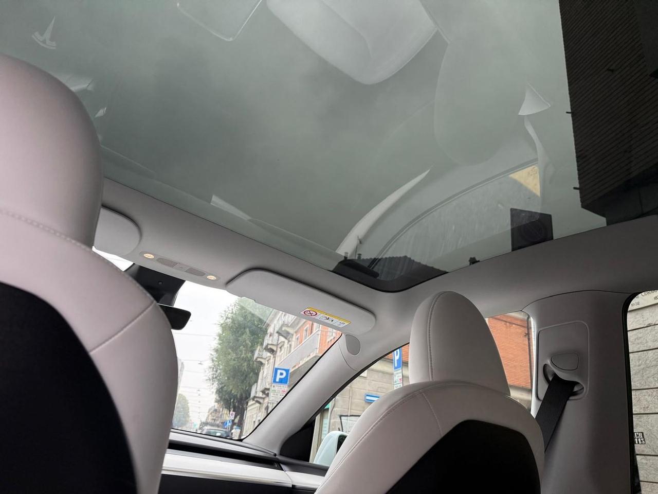 Tesla Model Y Standard Range / Standard #7392