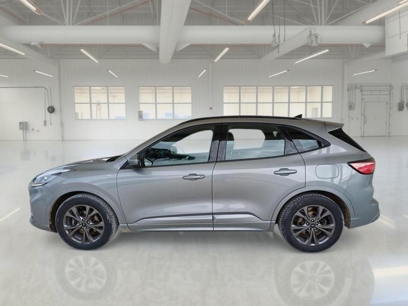 FORD KUGA 1.5 ECOBLUE 120 CV 2WD ST-LINE AUTO SUV