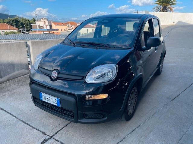Fiat Panda 1.0 FireFly S&S Hybrid Pandina