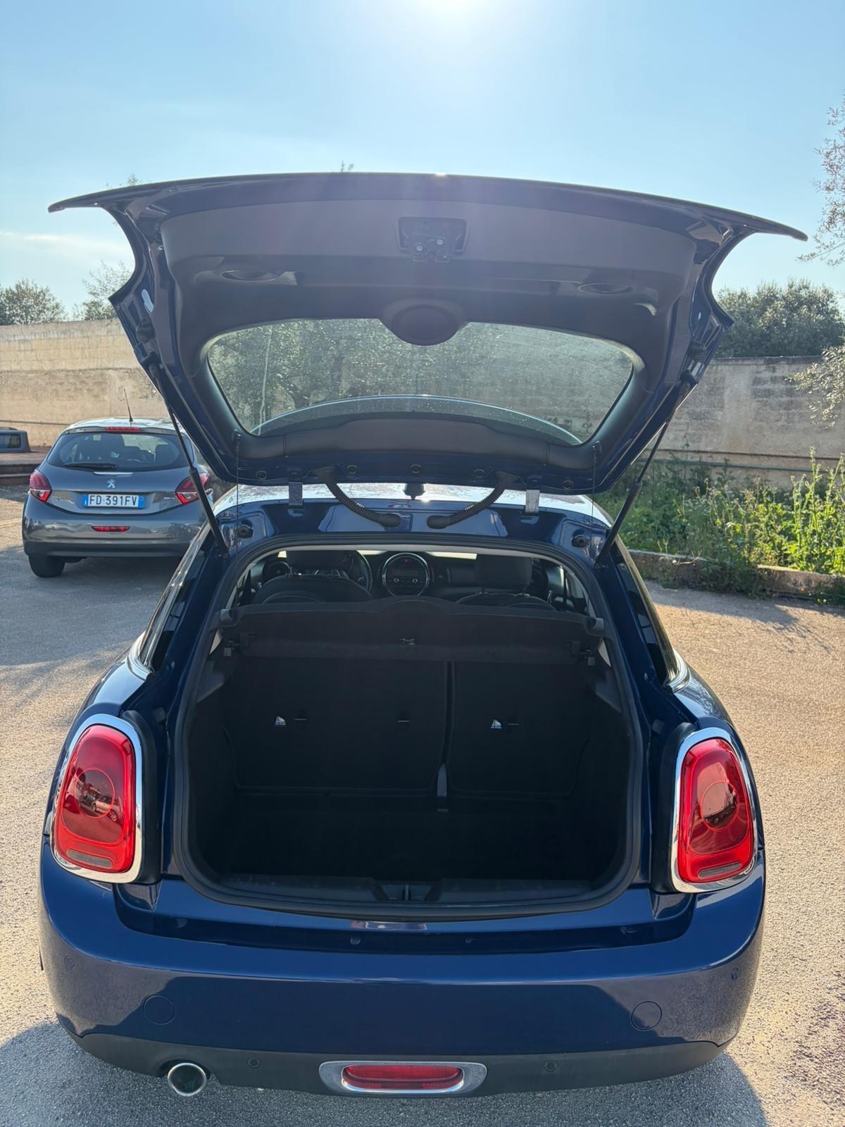 Mini 1.5 One D Hype
