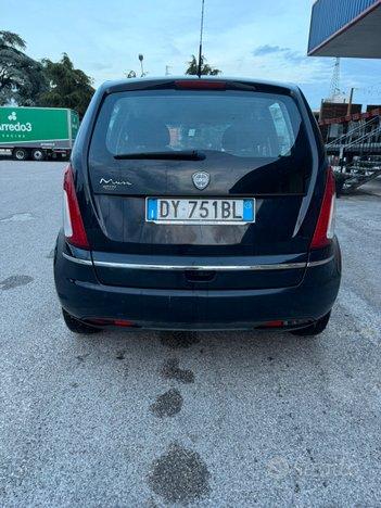 Lancia musa