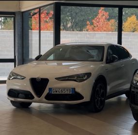 Alfa Romeo Stelvio 2.2 Q4 210 CV AT8 Veloce