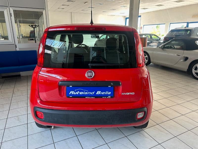 FIAT Panda 3ª serie Panda 1.0 FireFly S&S Hybrid