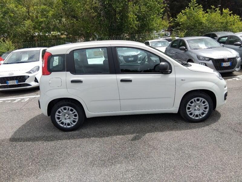 FIAT Panda New 1.0 70cv Hybrid Panda