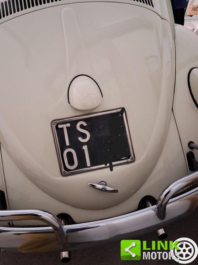 VOLKSWAGEN Maggiolino MY 63 in ordine di carrozzeria e meccanica