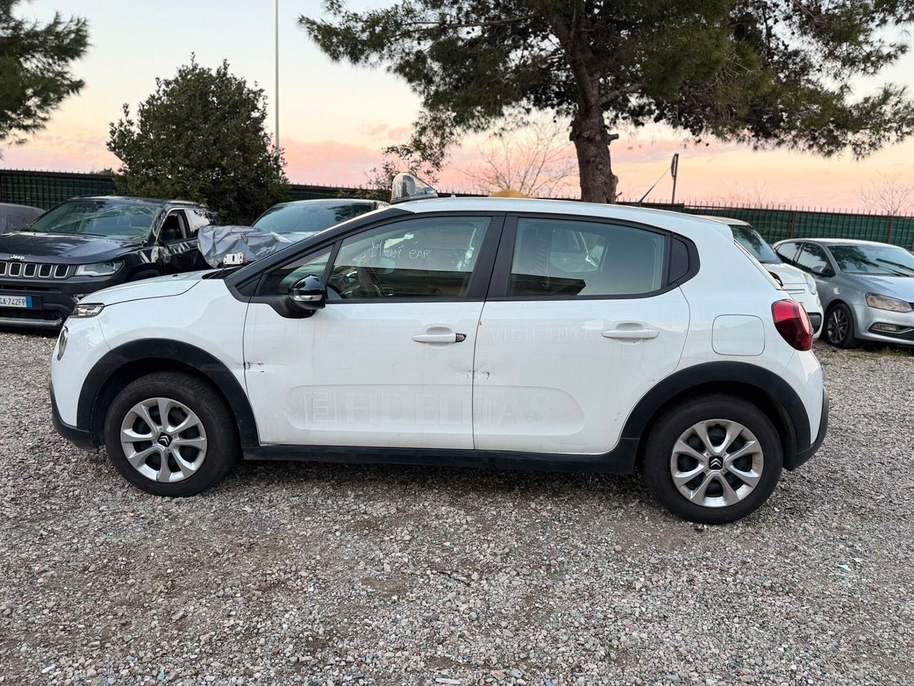 Citroen C3 BlueHDi 100 S&S Van Feel Con Catena Rumorosa