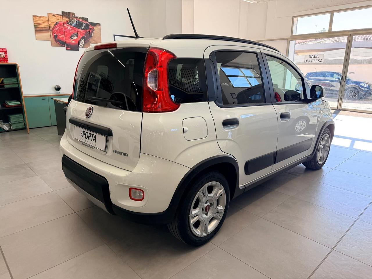 FIAT PANDA 1.0 FireFly 70cv S&S Hybrid City Life