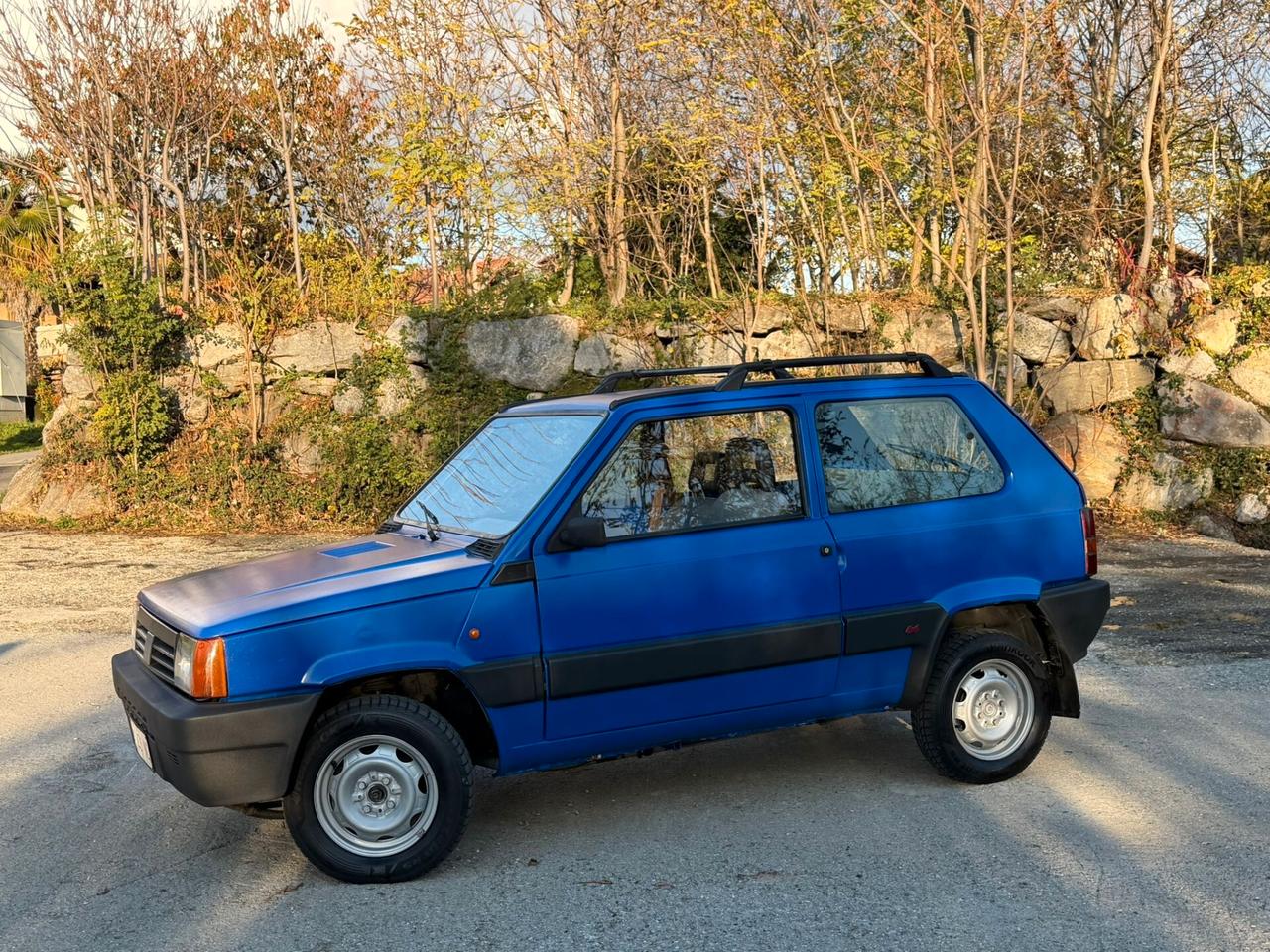 Fiat Panda 1100 i.e. cat 4x4 Trekking