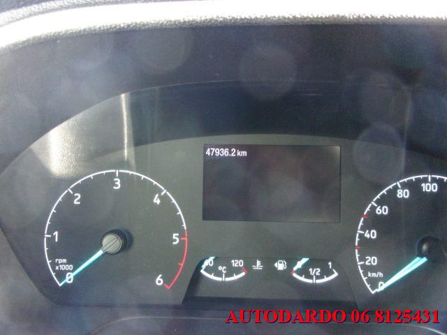 FORD Transit 290 2.0TDCi EcoBlue PM-TM Furgone Trend L2H2