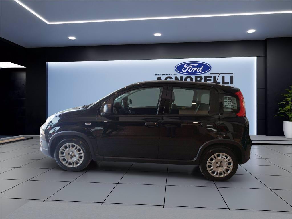 FIAT Panda 1.0 firefly hybrid s&s 70cv del 2024