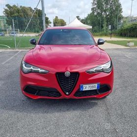 ALFA ROMEO Stelvio 2.2 Turbodiesel 210 CV AT8 Q4