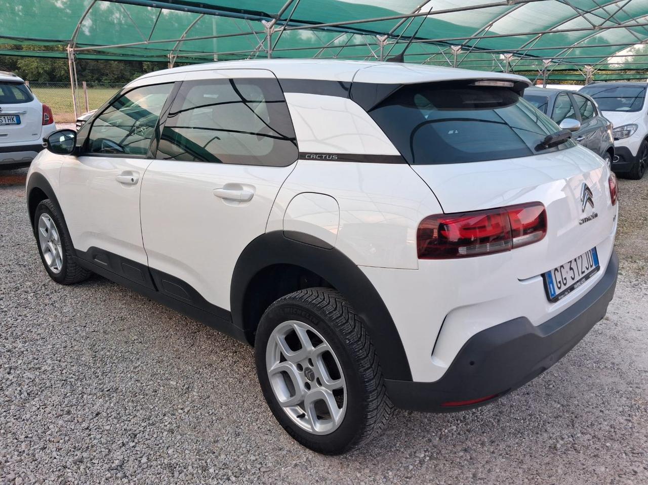 Citroen C4 Cactus 1.5 bluehdi Live s&s 100cv
