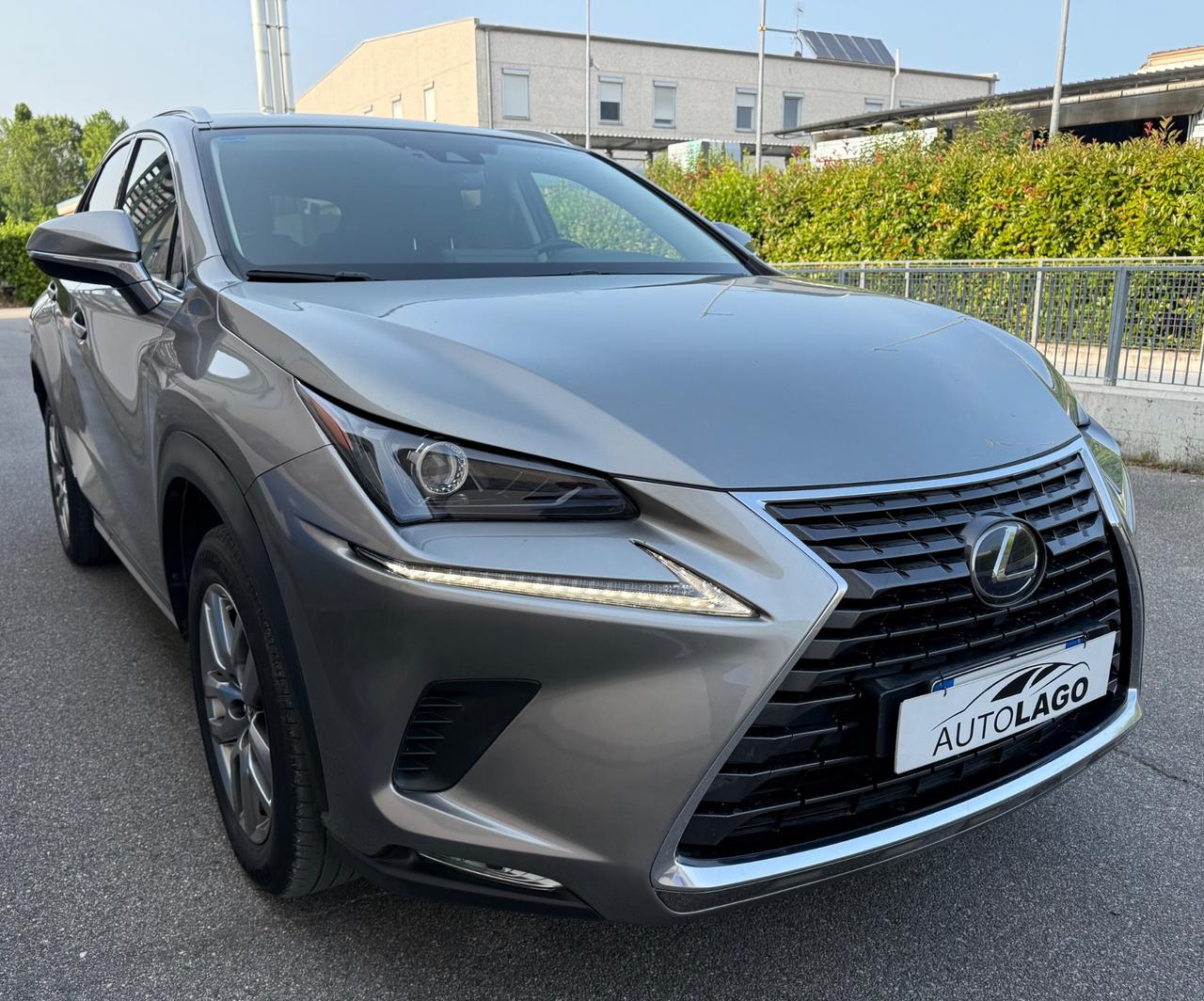 Lexus NX 300h NX Hybrid Business 2020