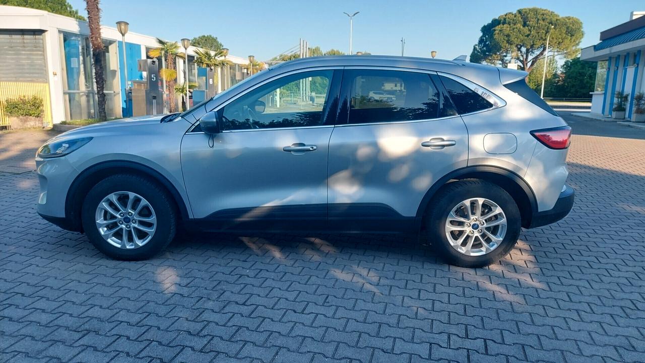 Ford Kuga 2.0 EcoBlue Hybrid 150 CV 2WD Titanium