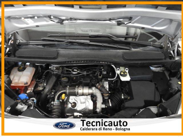 FORD Tourneo Connect 1.5 TDCi 120 CV Titanium PASSO LUNGO