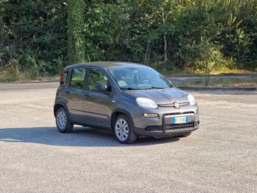 Fiat Panda 1.0 FireFly S&S Hybrid CV-69 E6 Manuale NEO 2022