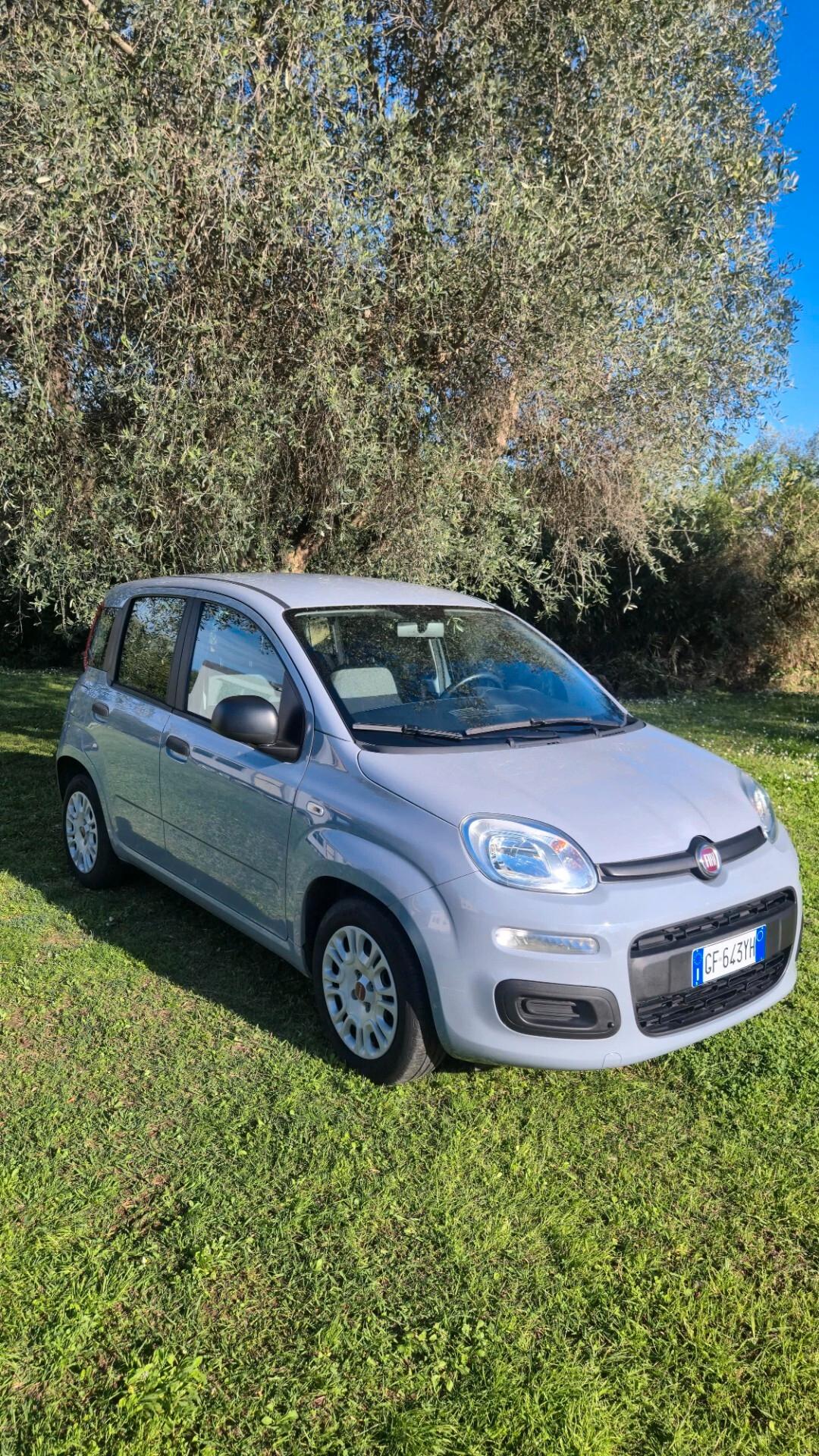 Fiat Panda 1.0 FireFly S&S Hybrid