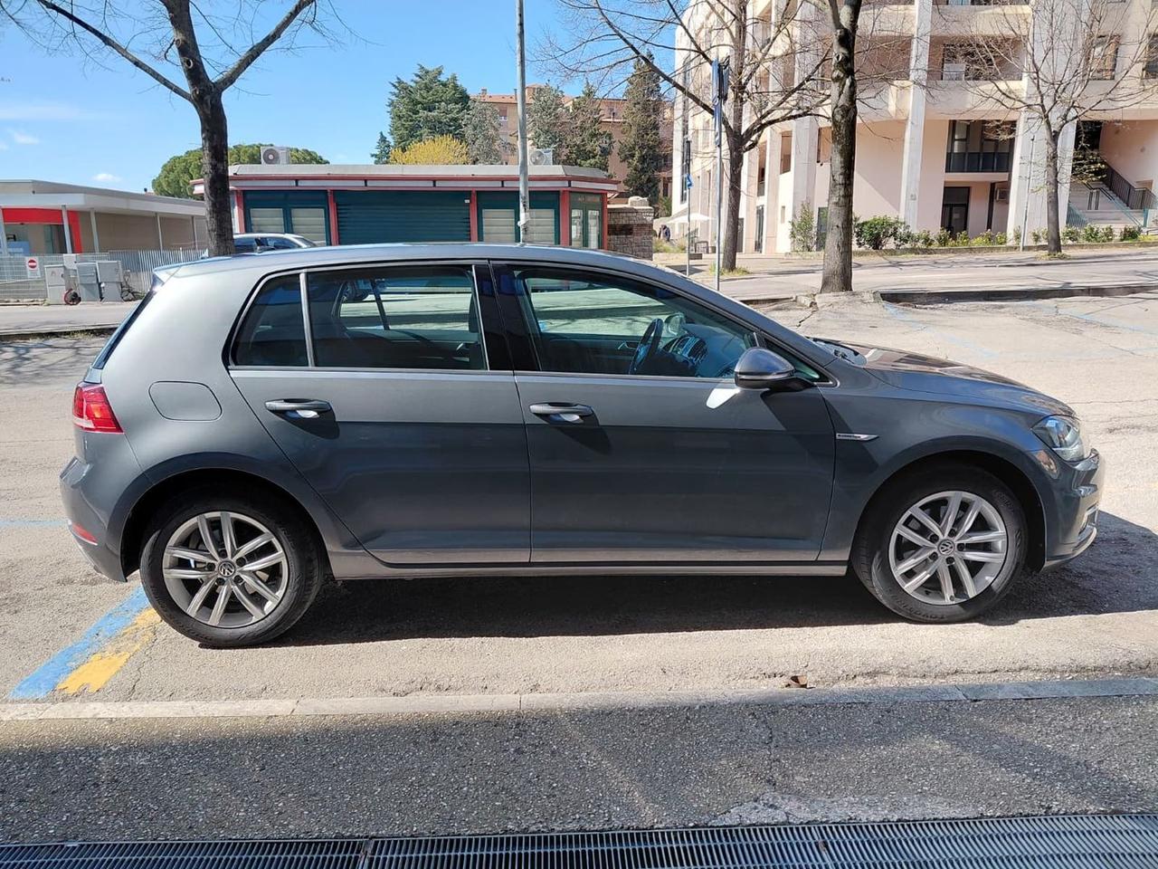 Volkswagen Golf Business 1.5 TGI BlueMotion #10224