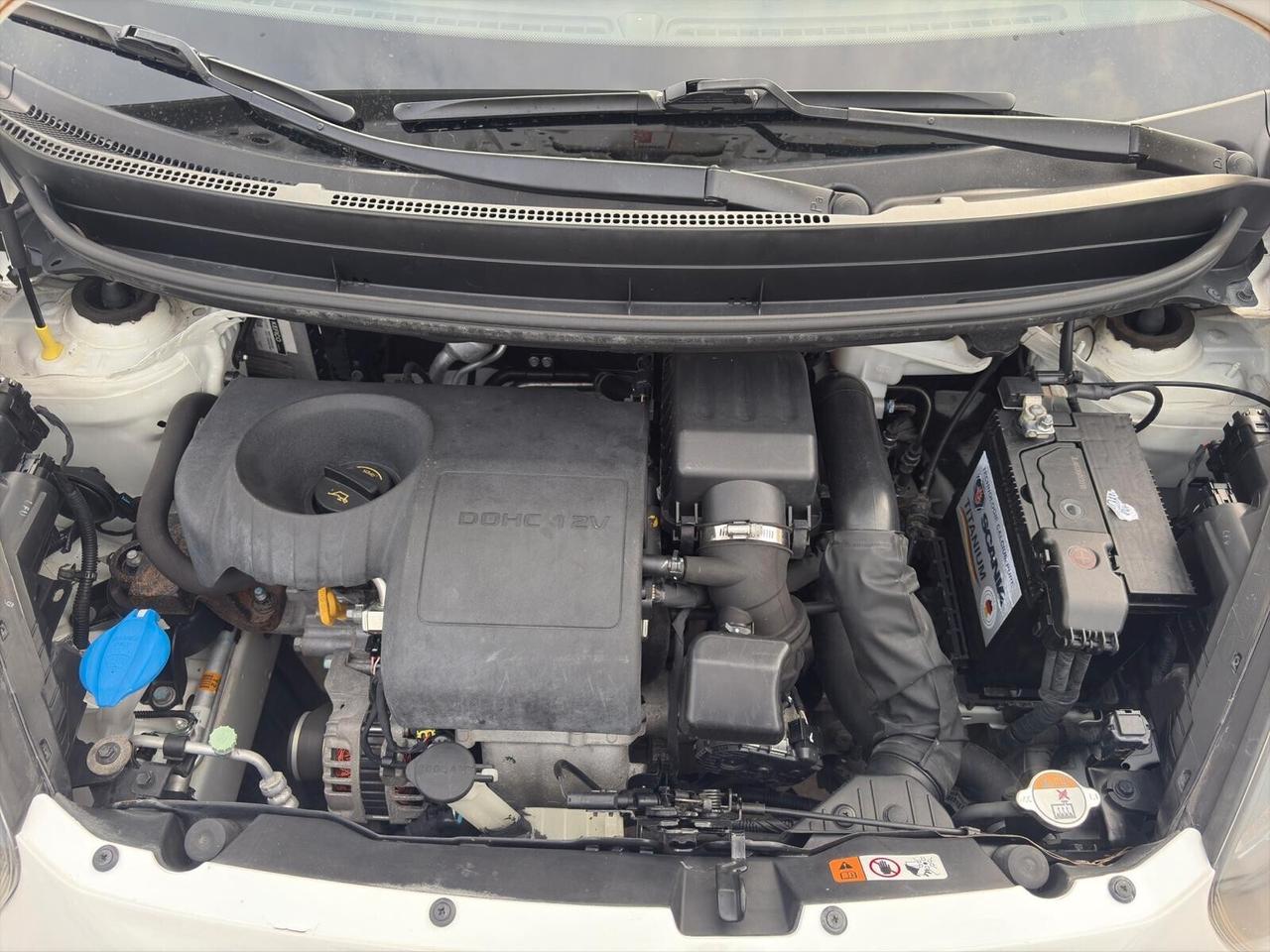 Kia Picanto 1.0 EcoGPL68cv Cool FULL NEOPATENTATI
