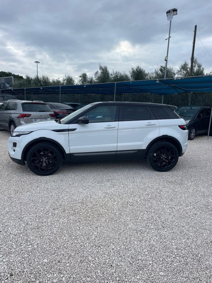 LAND ROVER - Range Rover Evoque - 2.2 TD4 5p. British Edition Dynamic