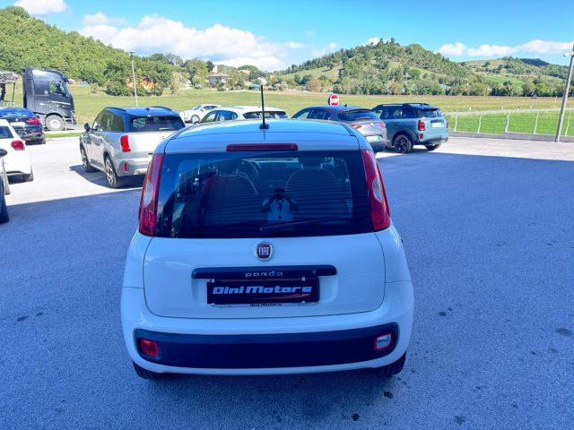 FIAT Panda 1.2 Benzina 4 cilindri OK NEOPATENTATI IVA ESPOSTA
