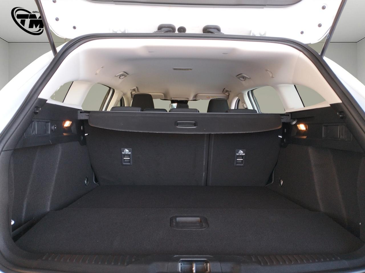 Ford Focus SW 1.5 ecoblue Business - GRANDINATA