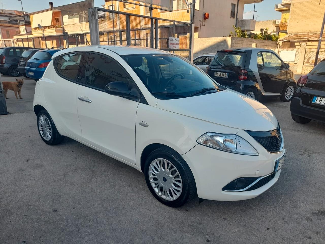 Lancia Ypsilon 1.2cc benzina 12 mesi garanzia-2017