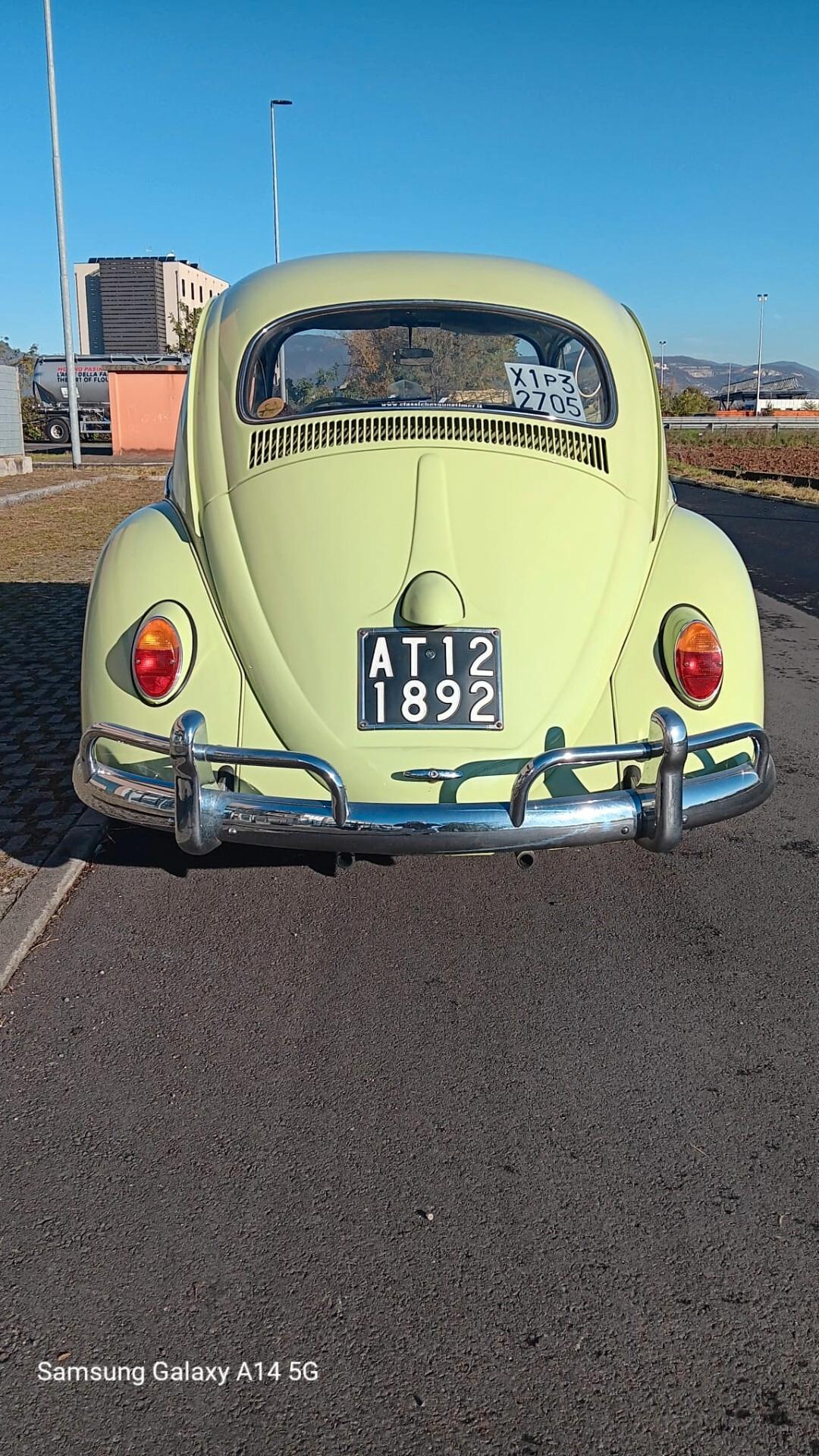 Volkswagen Maggiolino "Nasino"