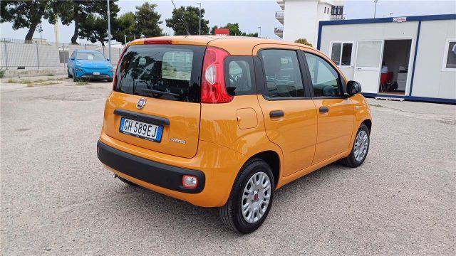 FIAT Panda 3ª serie 1.0 FireFly S&S Hybrid