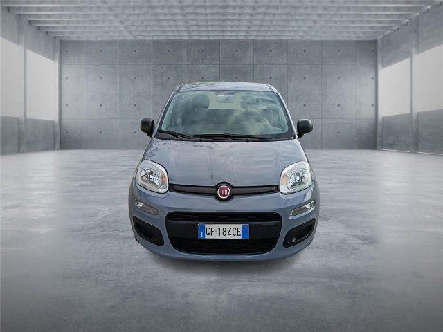 FIAT Panda 3ª serie 1.0 FireFly S&S Hybrid