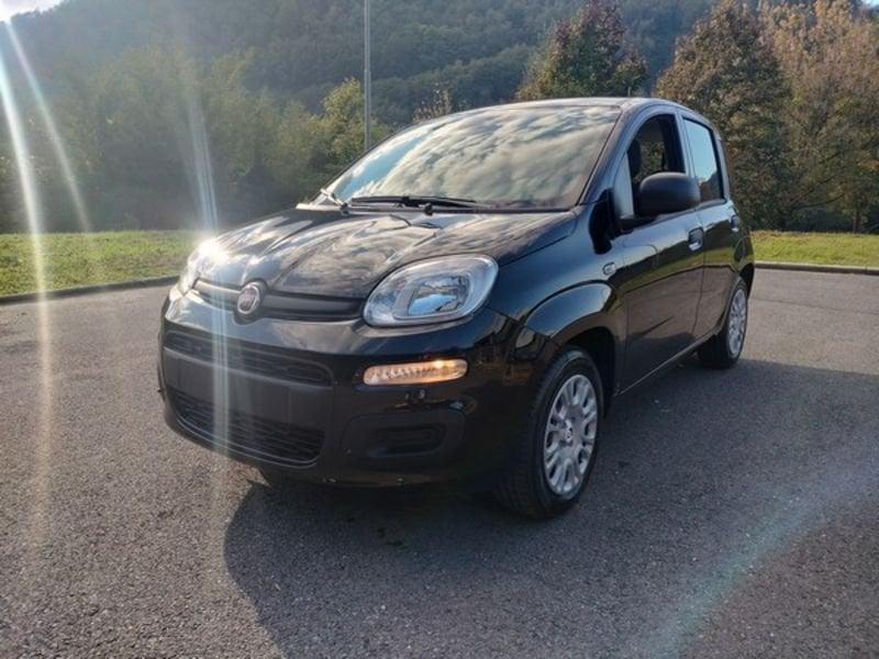 FIAT Panda Panda 1.0 FireFly S&S Hybrid, Sensori di parcheggio, 5 posti e stereo Bluetooth. GPL!!