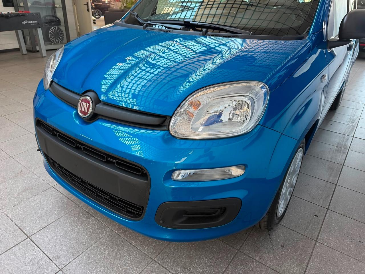 Fiat Panda 1.0 FireFly S&S Hybrid Icon