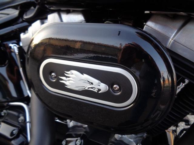 HARLEY-DAVIDSON FLSTSB Softail Cross Bones 1584 *TAGLIANDATA*