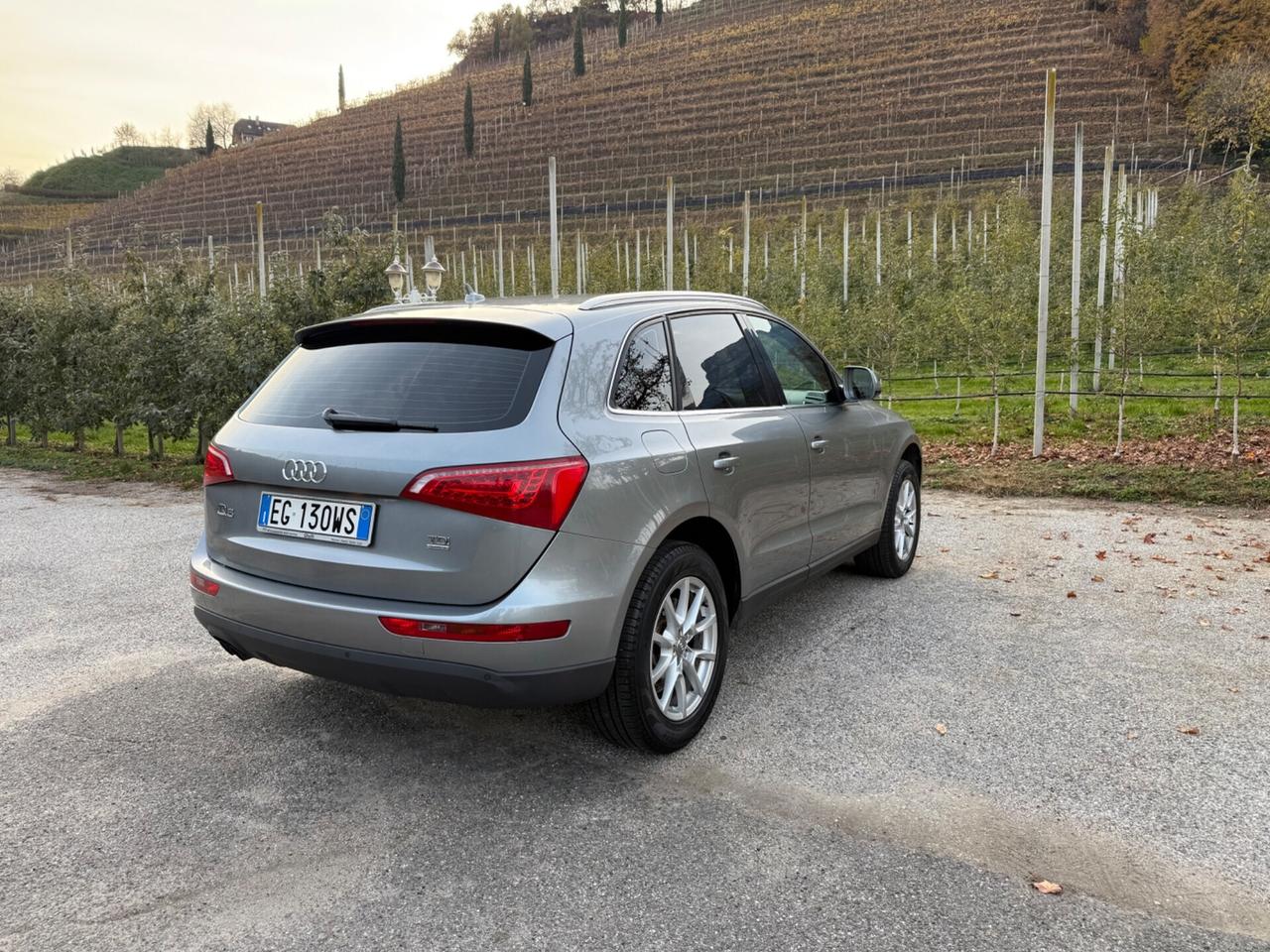 Audi Q5 2.0 TDI 170CV quattro Advanced Plus