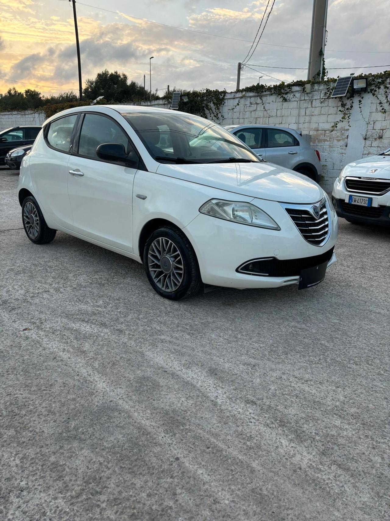 Lancia Ypsilon 1.3 MJT 16V 95 CV 5 porte S&S Platinum