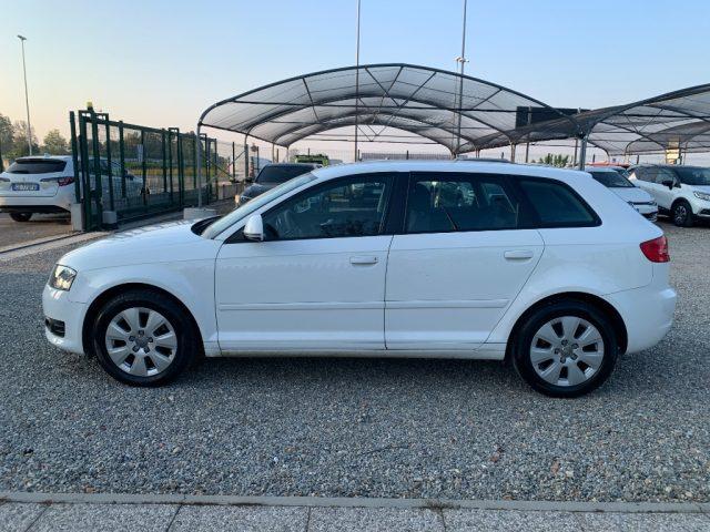 AUDI A3 SPB 1.6 TDI 90 CV CR F.AP Ambition