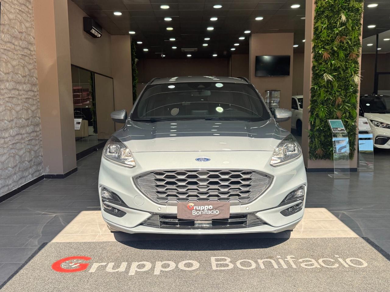 Ford Kuga 1.5 EcoBlue 120 CV aut. 2WD ST-Line