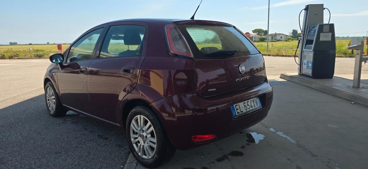 Fiat Punto 1.3 MJT II 75 CV 5 porte Pop