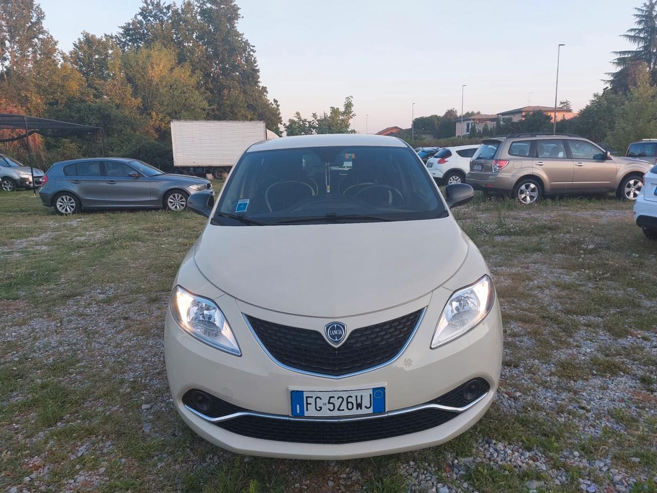 Lancia Ypsilon 1.2 69 CV 5 porte Platinum