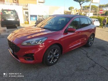 Ford Kuga 1.5 EcoBlue 120 CV 2WD ST-Line - OFFERTA DEL MESE
