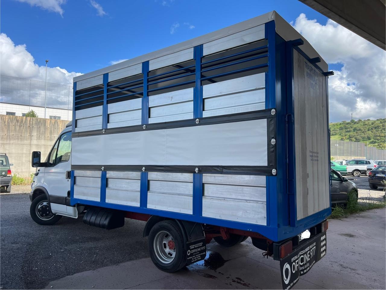 Iveco Daily 35c13 trasporto animali vivi Cavalli