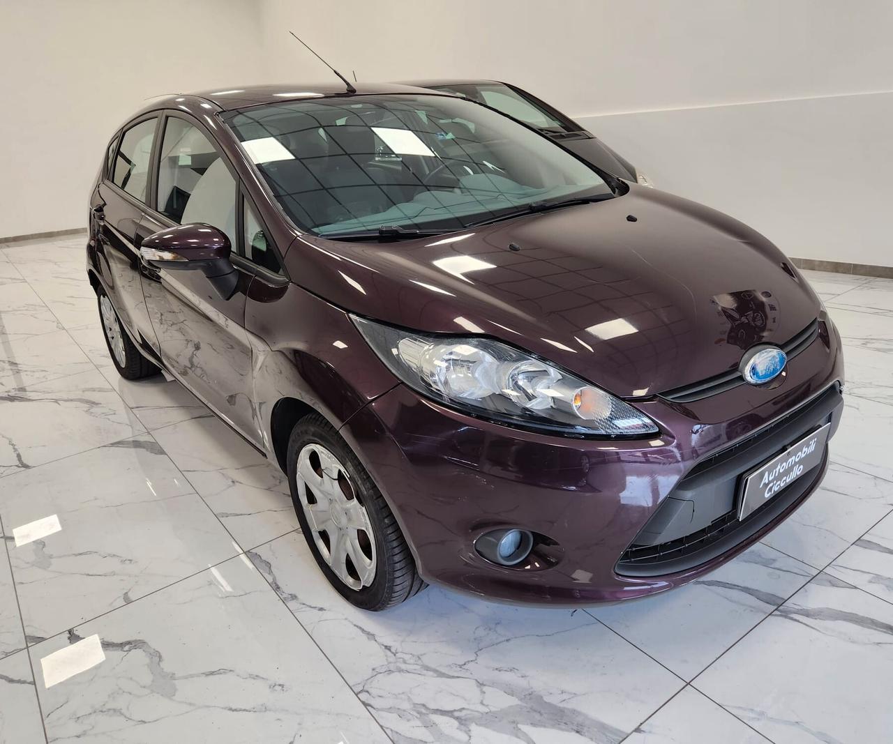 Ford Fiesta 1.4 TDCi 68CV 5 porte Titanium