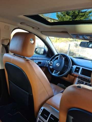 Jaguar XF 3.0 DIESEL V 6 AUTOMATICA CV 241 LUXURY