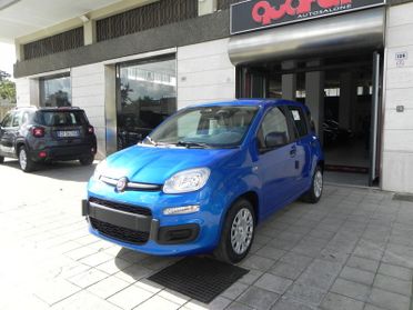Fiat Panda NEW MY 25 1.0 FireFly PANDINA Icon