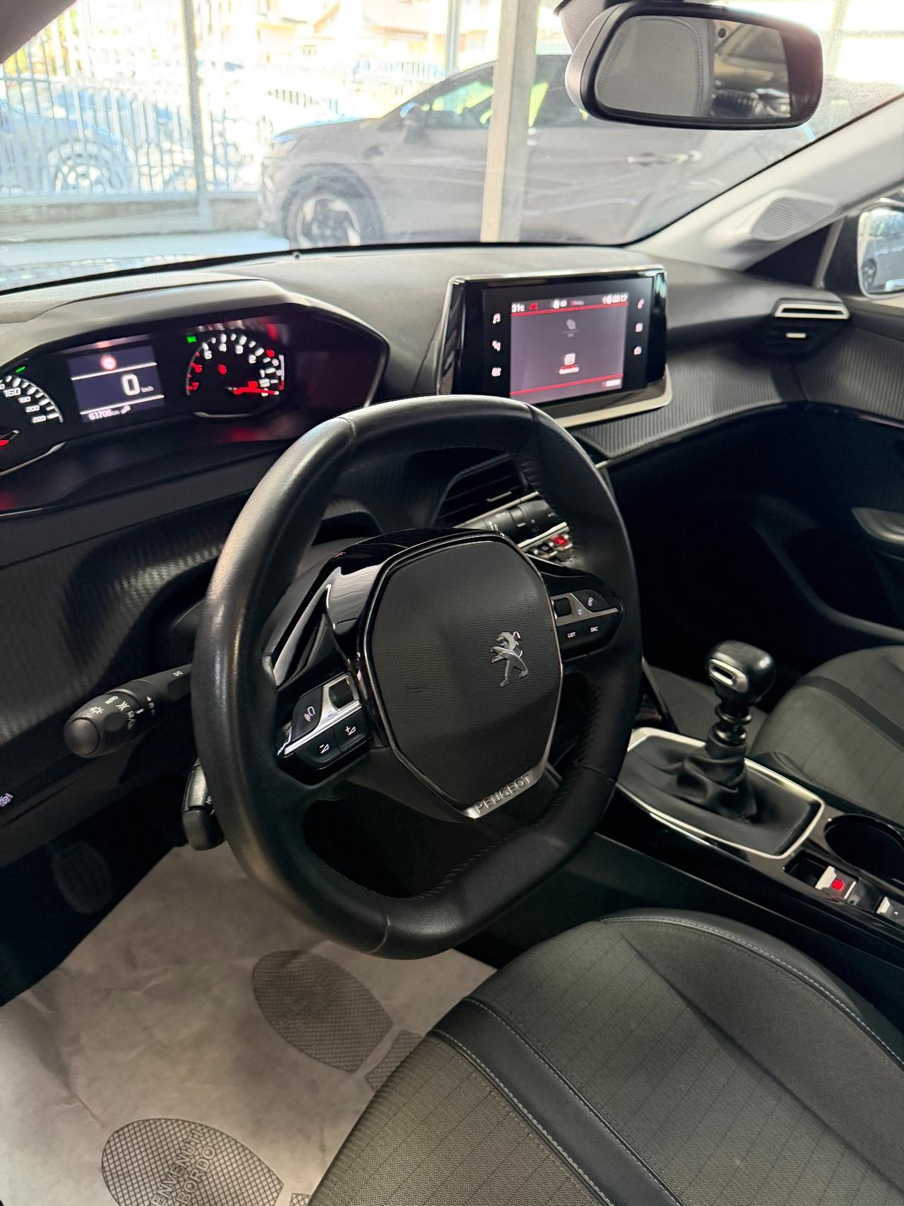 Peugeot 208 PureTech 100 Stop&Start 5 porte Active Pack