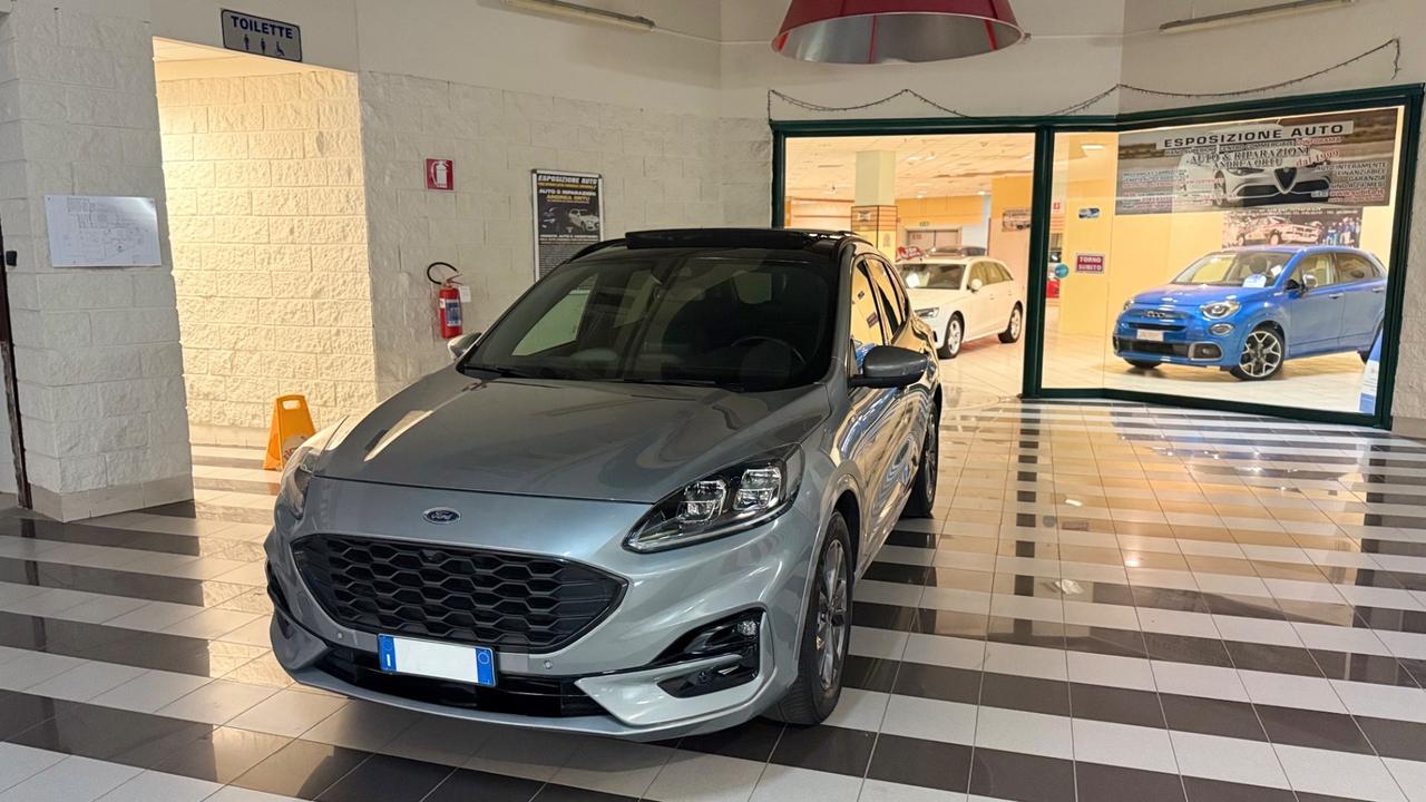 Ford Kuga 1.5 EcoBlue 120 CV aut. ST-Line X 02/2022 TETTO
