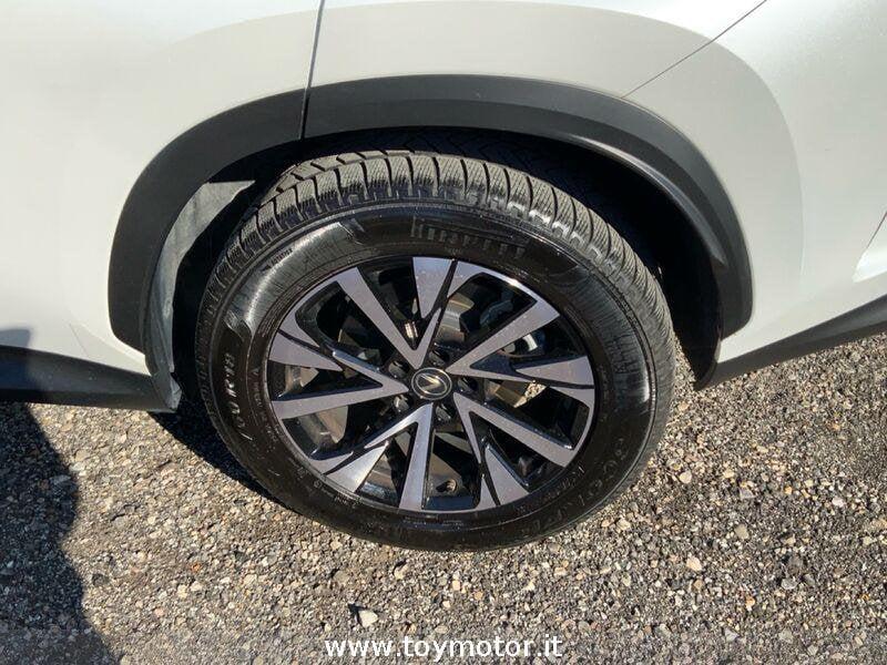 Lexus NX 2ª serie Plug-in 4WD Premium