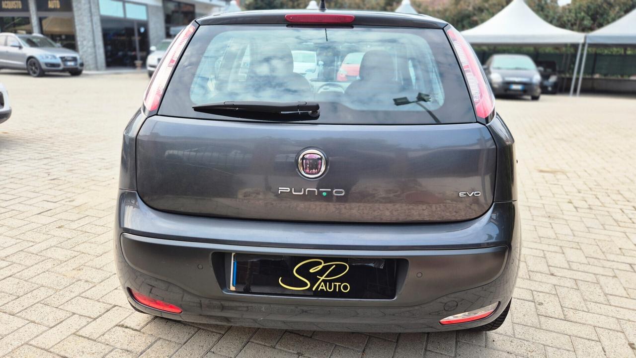 Fiat Punto Evo 1.4 5 porte B/GPL VALIDO FINO 2029 /OK NEOPATENTATI