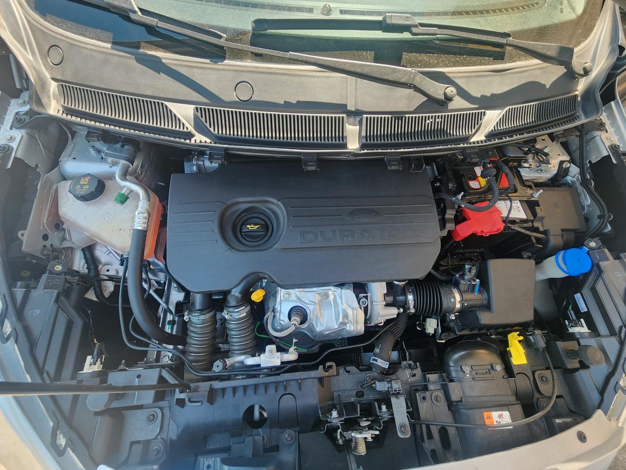 Ford Ka 1.5 TDCi 95 CV Start&Stop Active - 2019