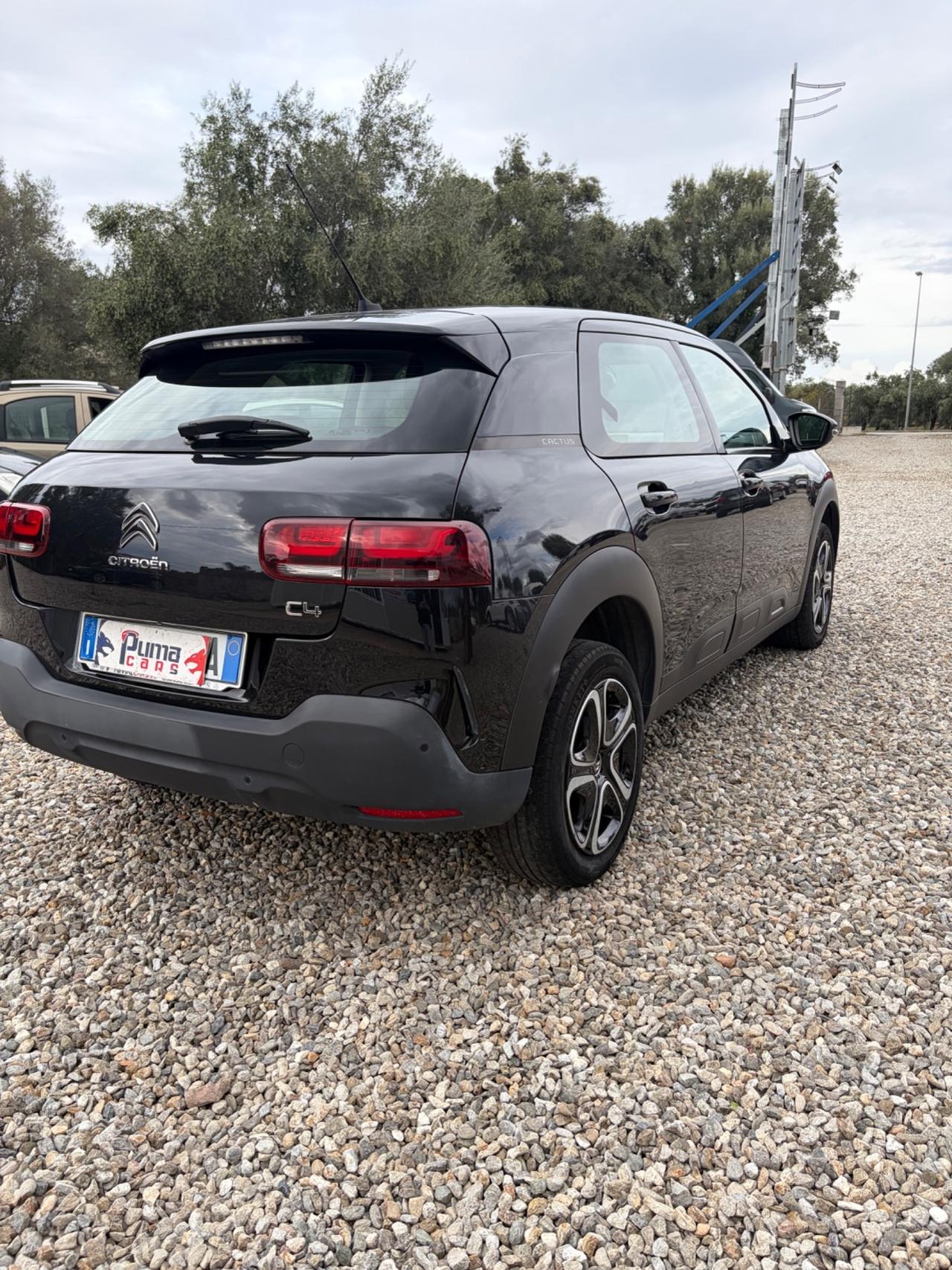 Citroen C4 Cactus BlueHDi 100 S&S Shine Pack